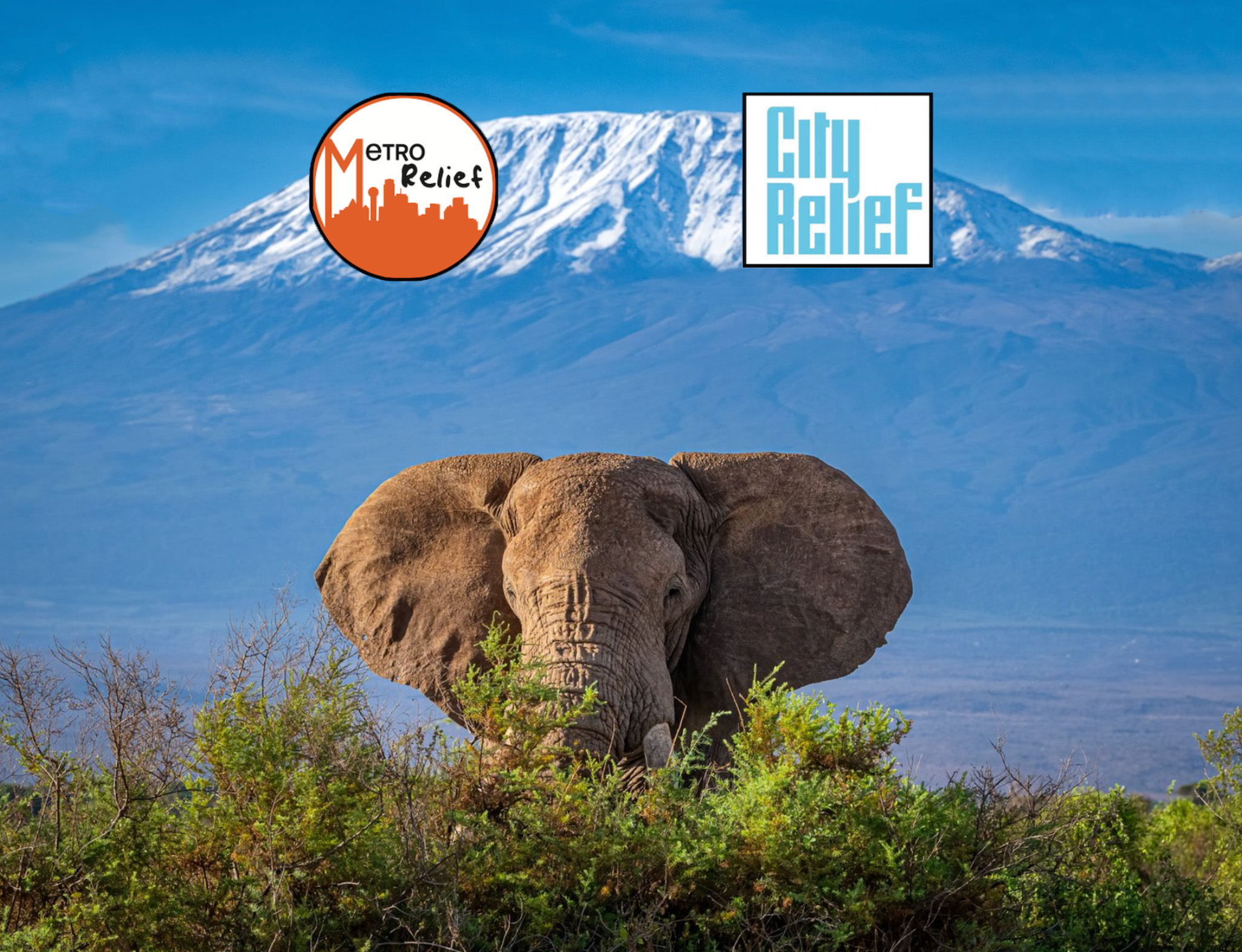 Hike for THE HOMELESS - Kilimanjaro Fundraiser 